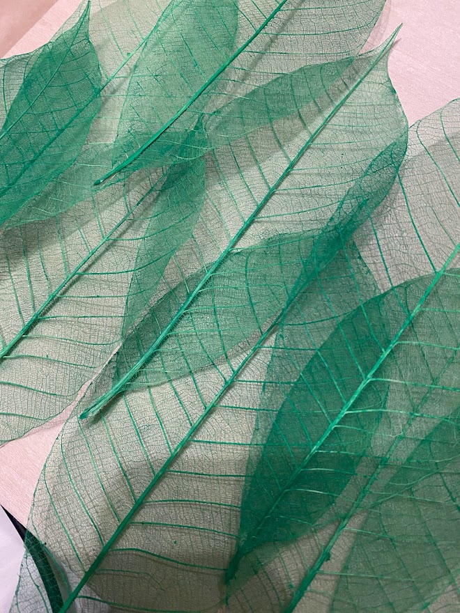 ボタニーペインティング通信講座体験談 – botanical leaf art