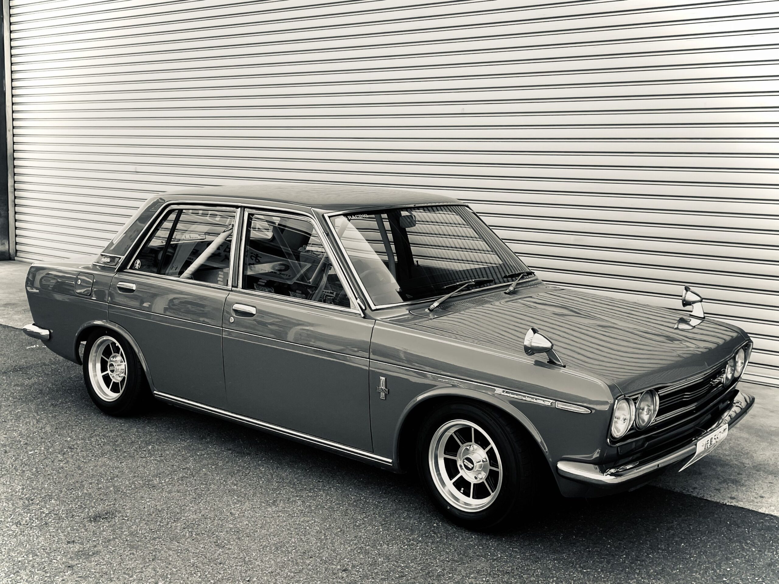 510 BLUEBIRD SSS | パドック257