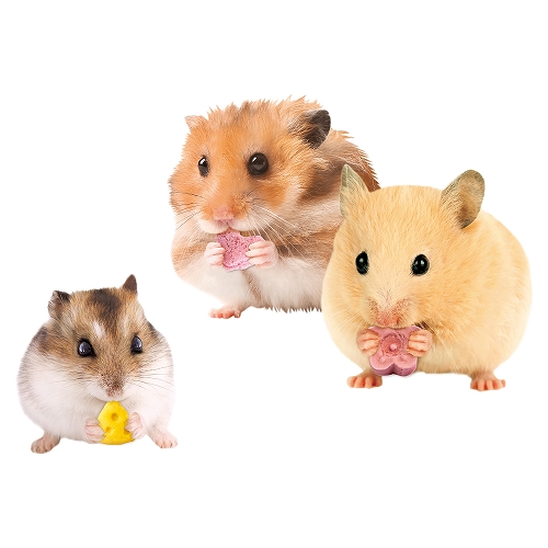 ハムちゃんのプチ贅沢アソート Cセット│マルカンの製品一覧｜ペット