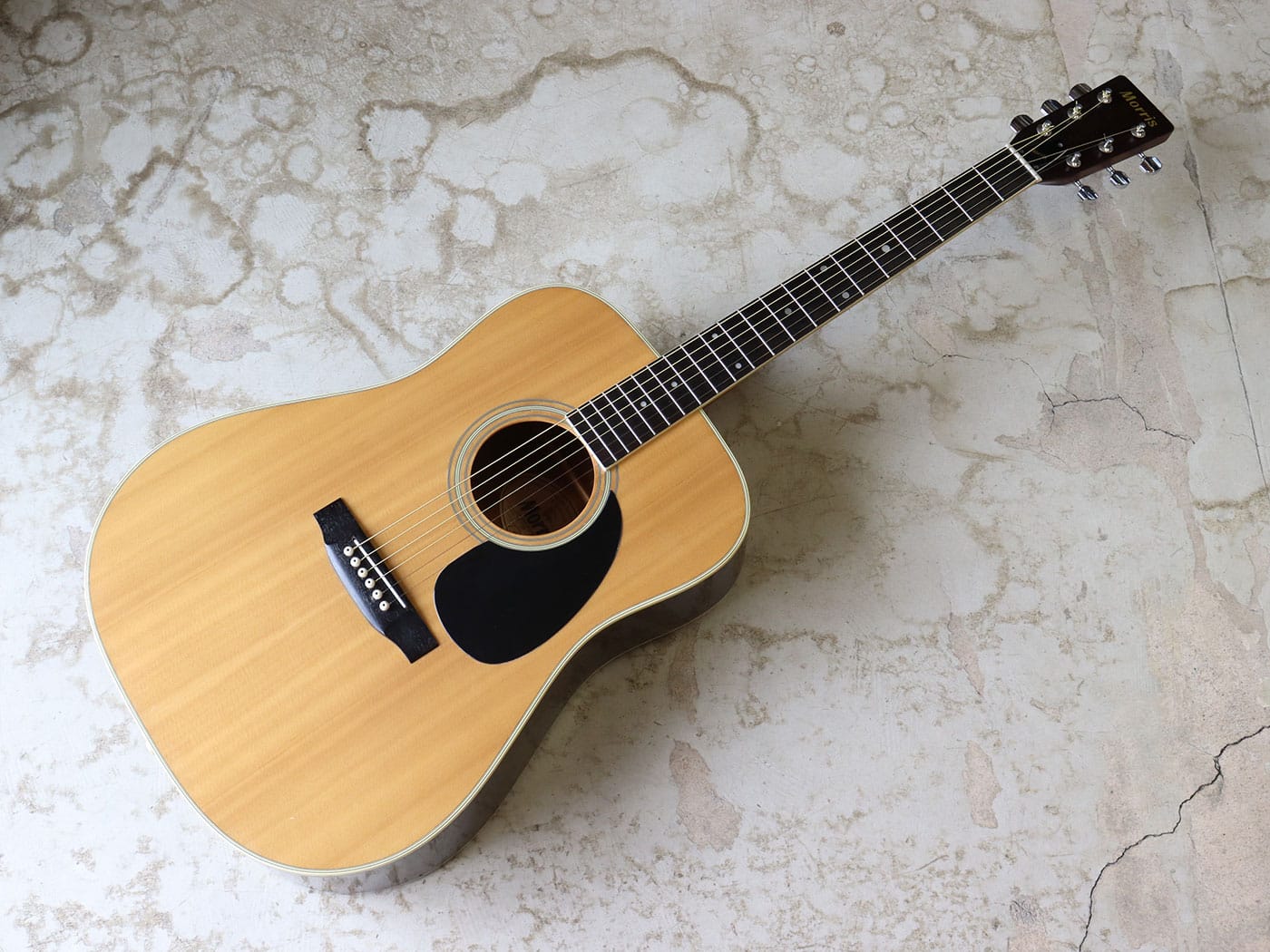 中古】Morris W-20 アコースティックギター - 神奈川県の中古楽器店