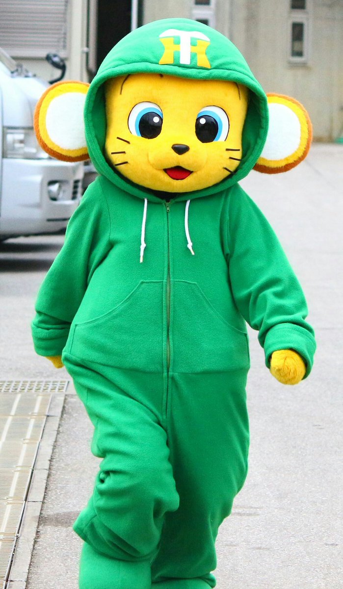 ゴーヤ色キー太ちゃん✨ 2017.2.11 #キー太 #阪神タイガース #宜野座