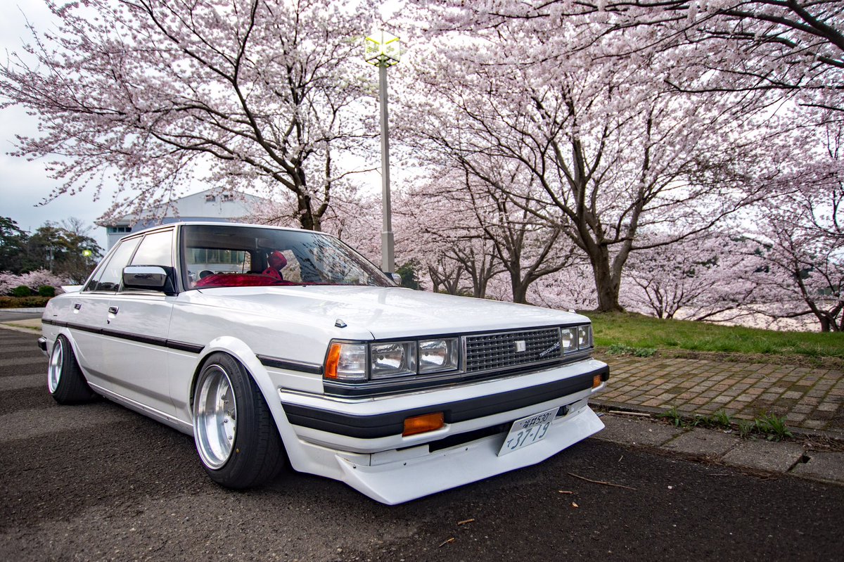 桜とクレスタ🌸 #gx71 #71クレスタ