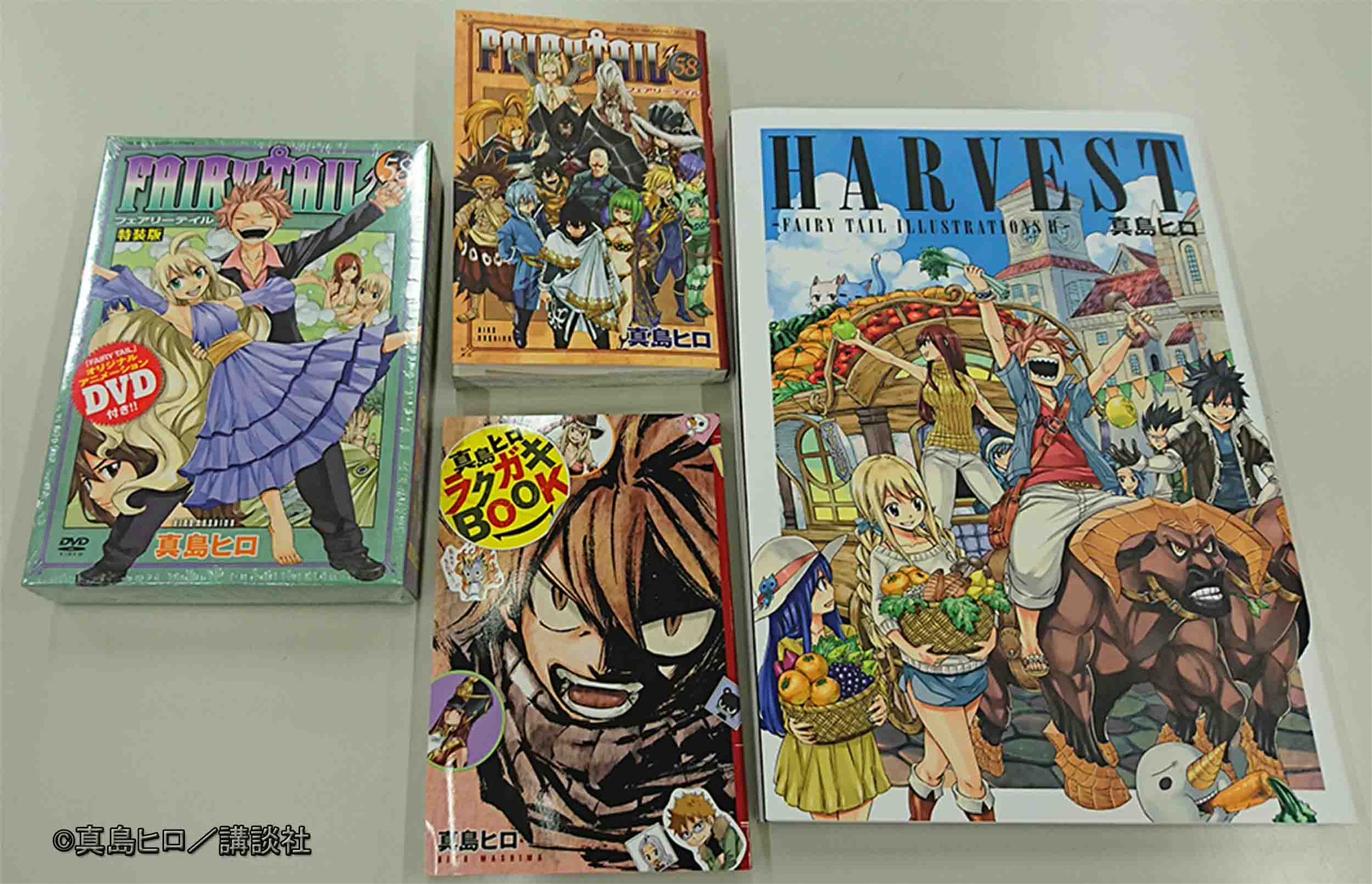 FAIRY TAIL ブックカバー 着せ替えカバー 真島ヒロ レア 非売品 漫画