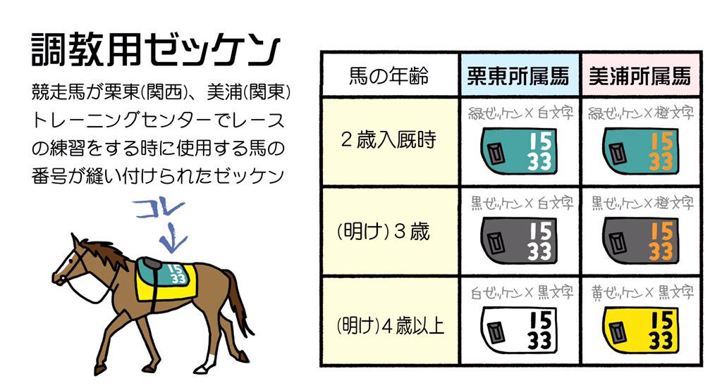 調教用ゼッケン… 栗東と美浦の色 解りやすい表 頂きました… ありがとう
