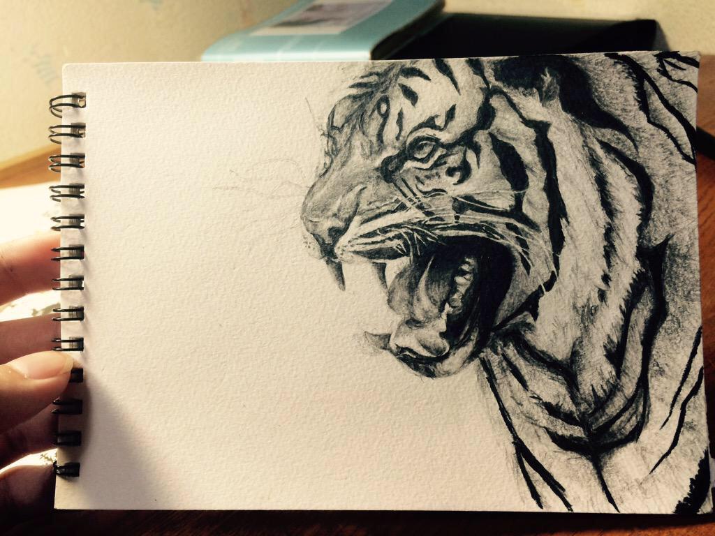 虎の鉛筆デッサン。 自分で言うのもアレだけど今にも動き出しそう