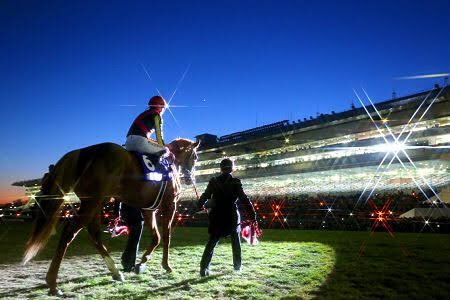 突然 #オルフェーヴル引退式 #泣くなッてのが無理