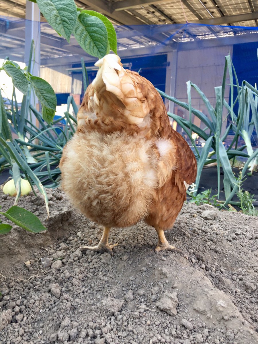 D6nEwxfVUAAC390.jpg?format=jpg