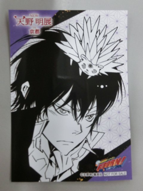 グッズ入荷情報】 #リボーン #雲雀恭弥 天野明展in京都 ブロマイド