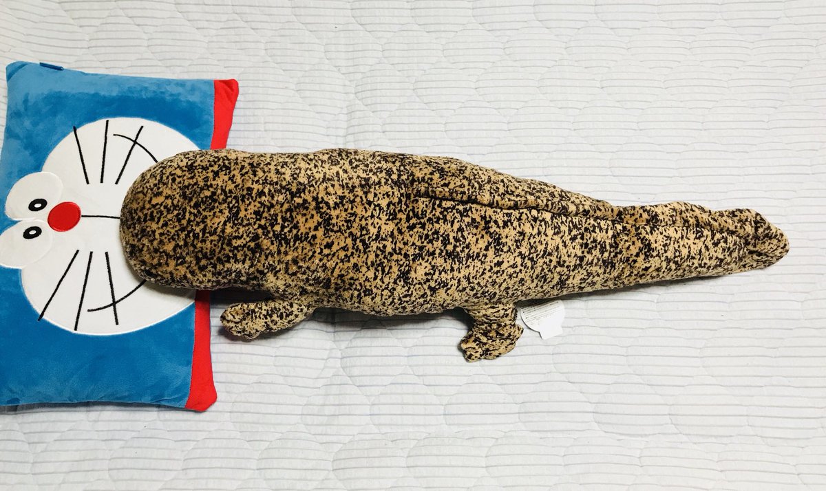 京都水族館でオオサンショウウオのぬいぐるみを買うと店員さん達がこう