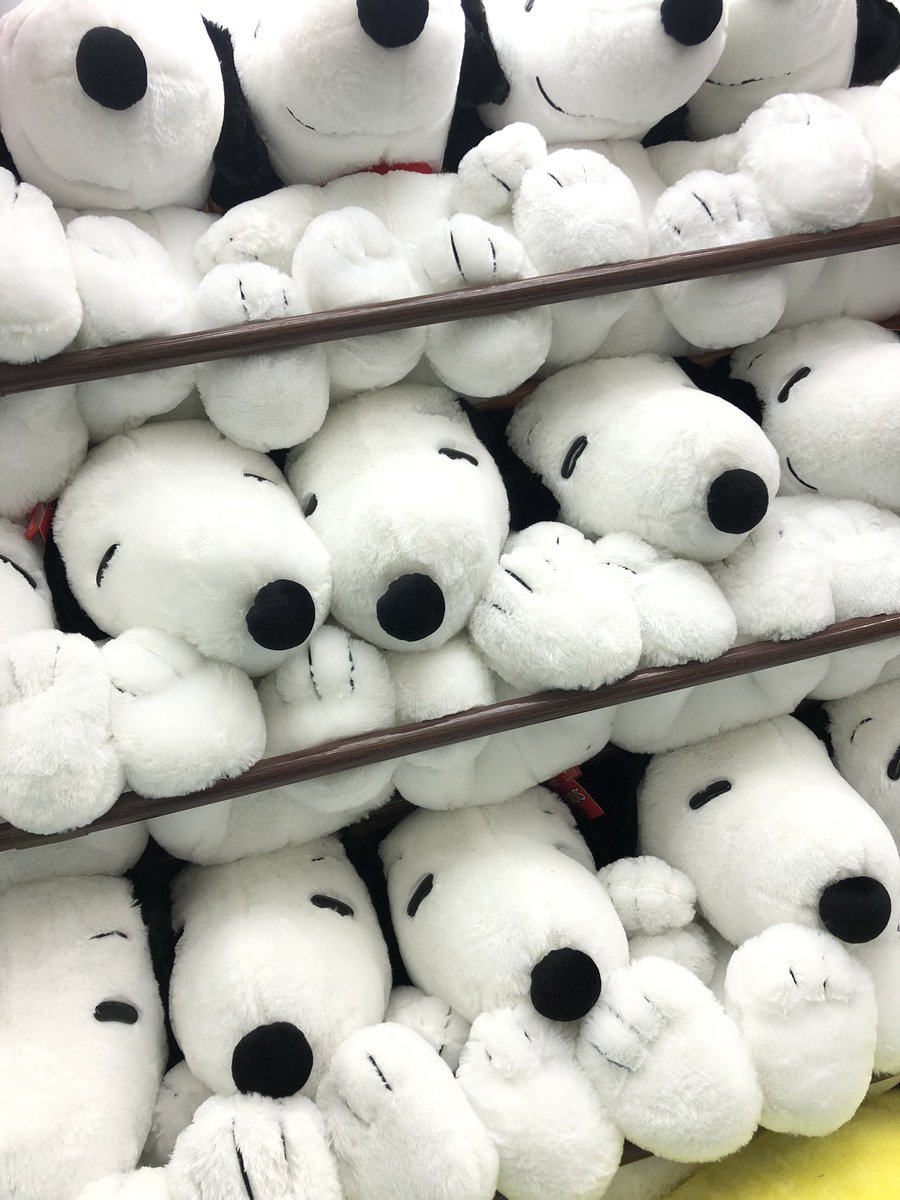 2F プライズ】 新景品『SNOOPYギガジャンボ ふわふわぬいぐるみ』全1種