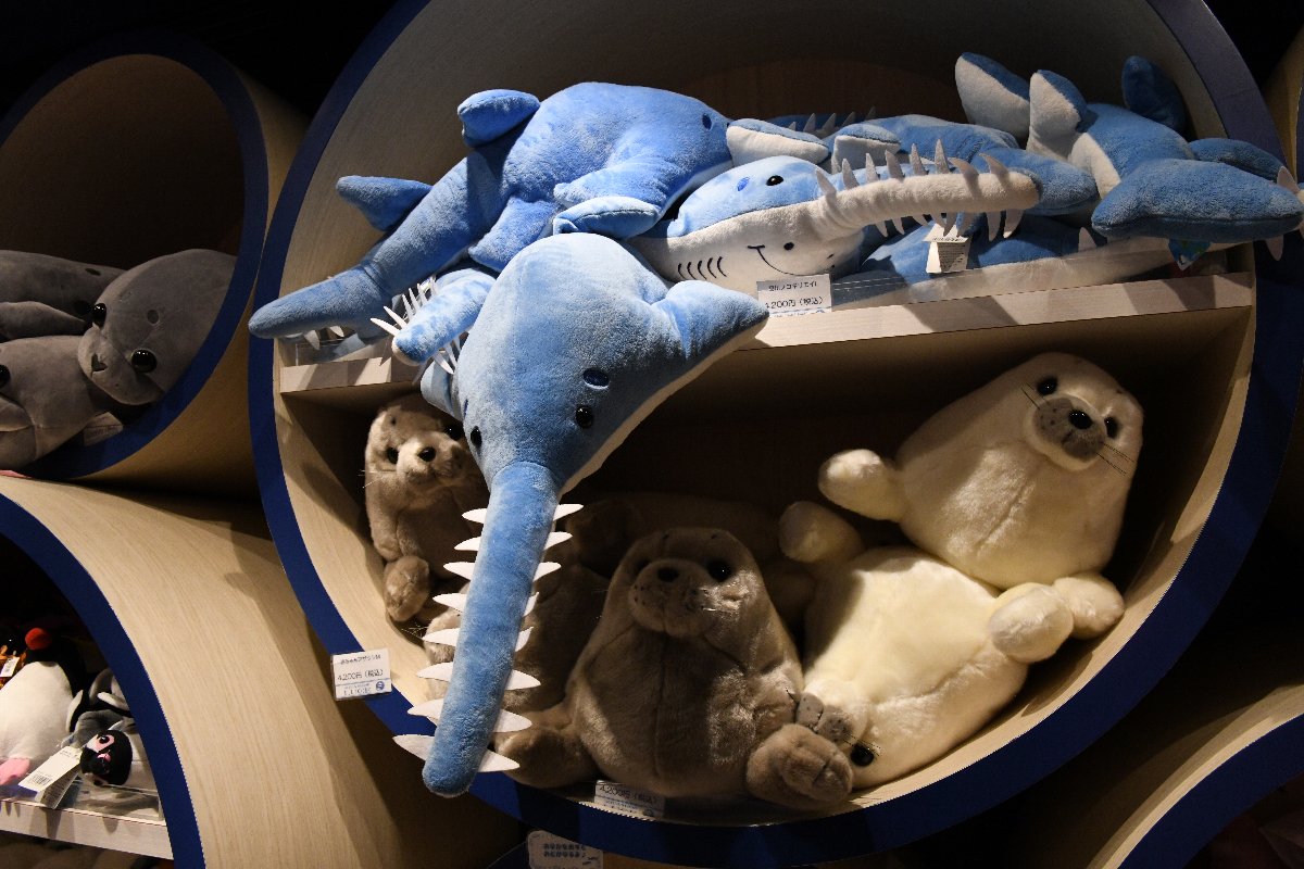 ノコギリエイのぬいぐるみが予想外にかわいい・・・ #アクアパーク品川