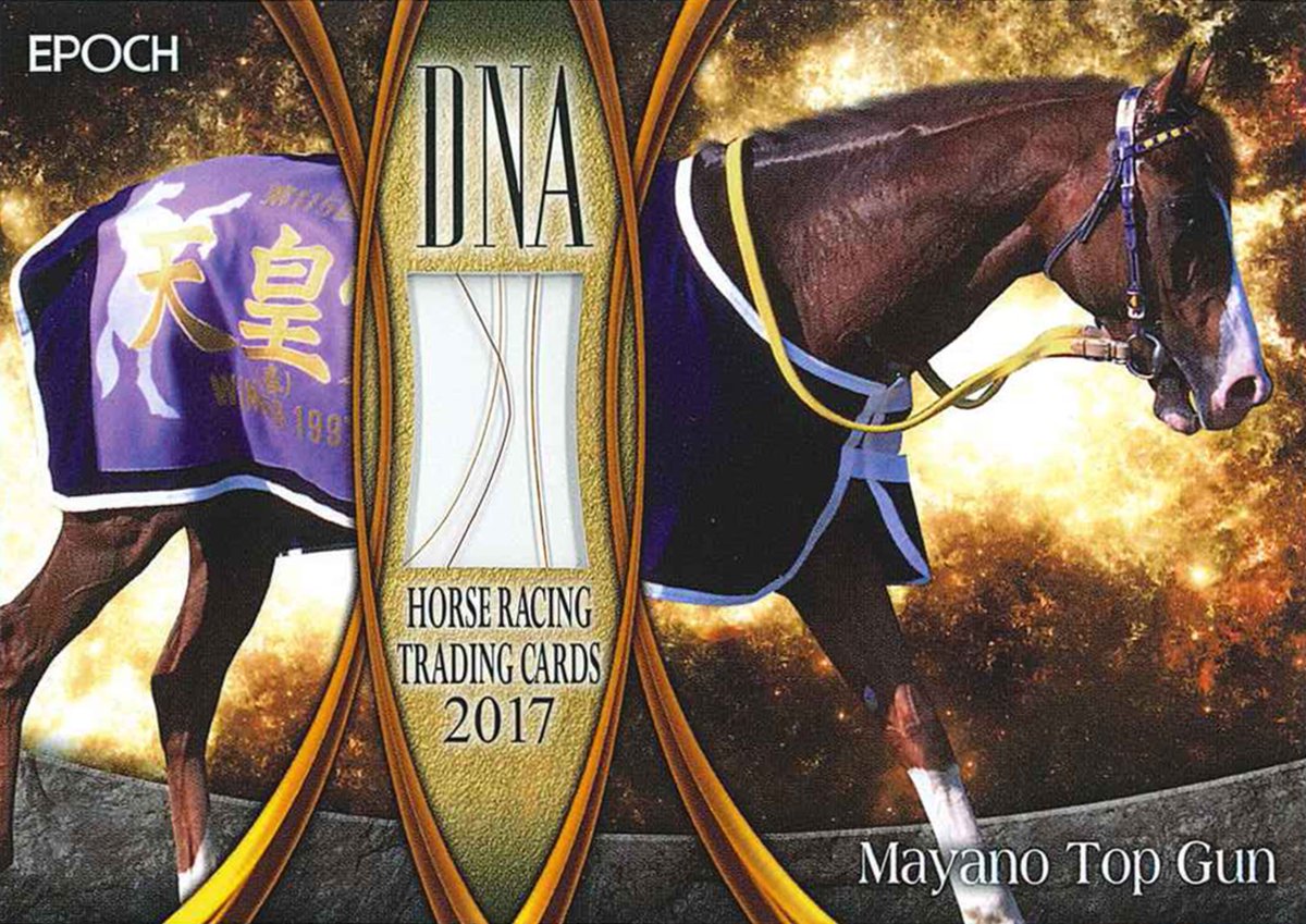 EPOCH 2019 ホースレーシング トゥザグローリー DNAカード /50