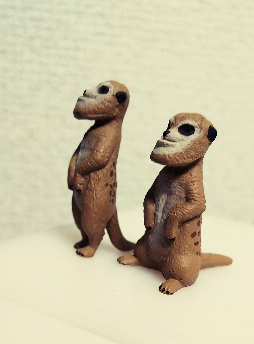 今日ご飯の帰りに「ｼｬｸﾚﾙﾌﾟﾗﾈｯﾄ」と書かれたｶﾞﾁｬｶﾞﾁｬを目にし 何だろう