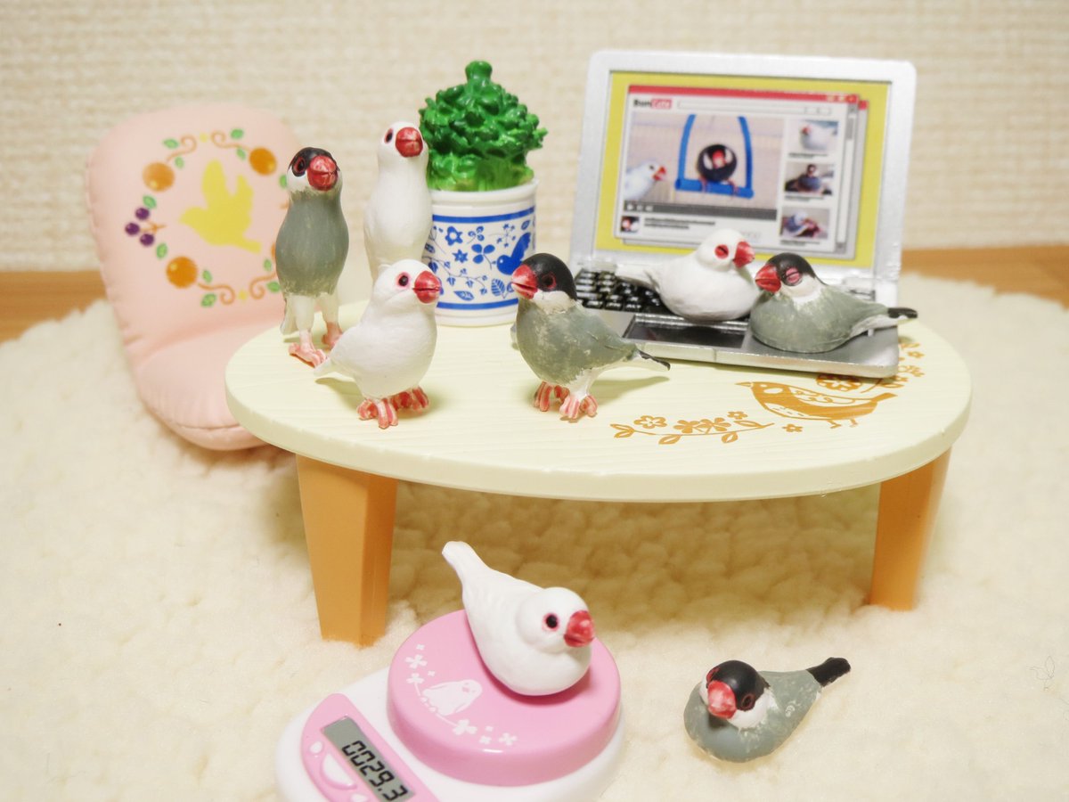 3月12日発売予定【ぷちサンプルシリーズ 鳥のいる生活】 どの