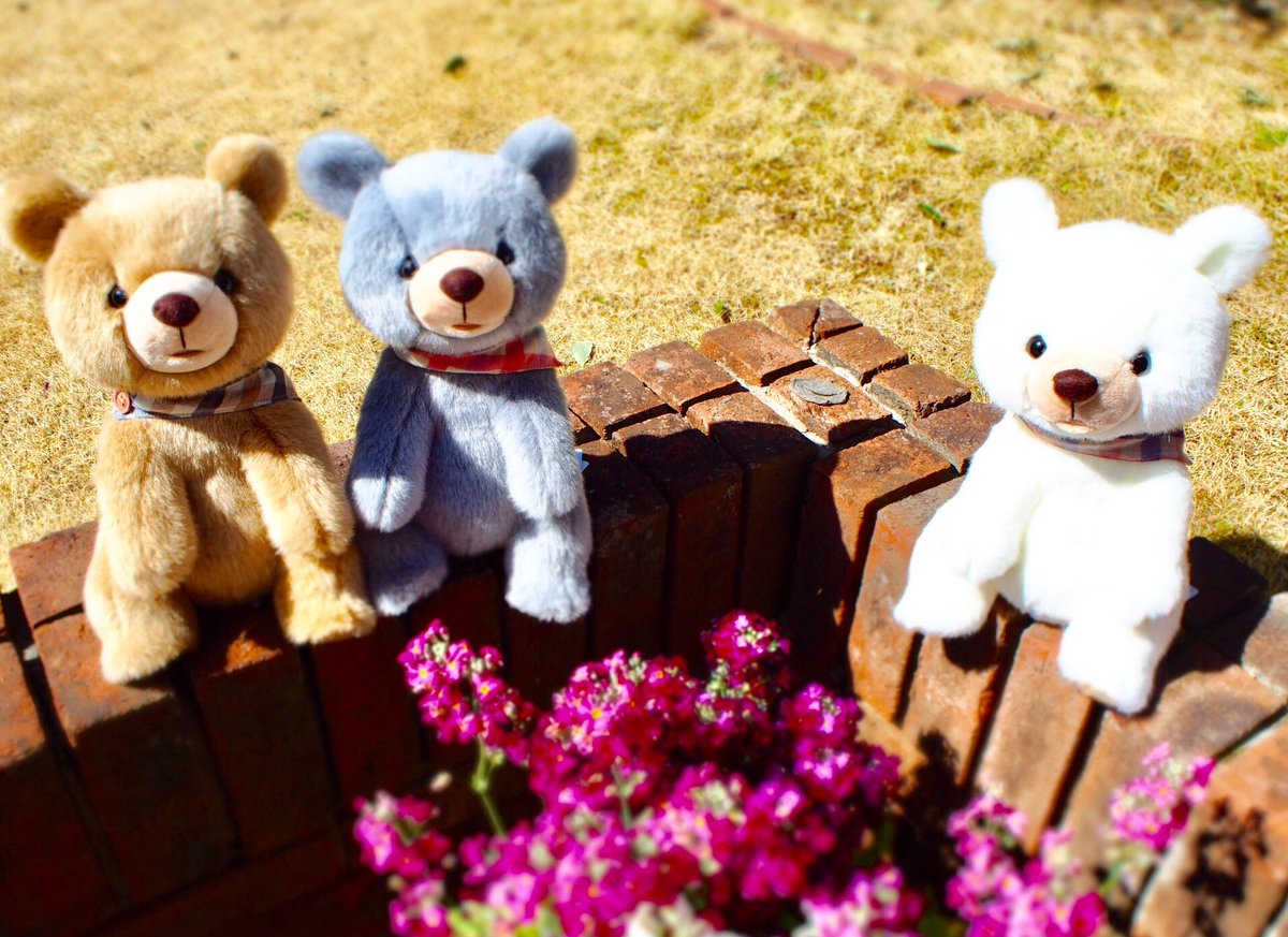 ✨新商品✨ ぬいぐるみ“森のくまさん”（日本製）が入荷しました！ この