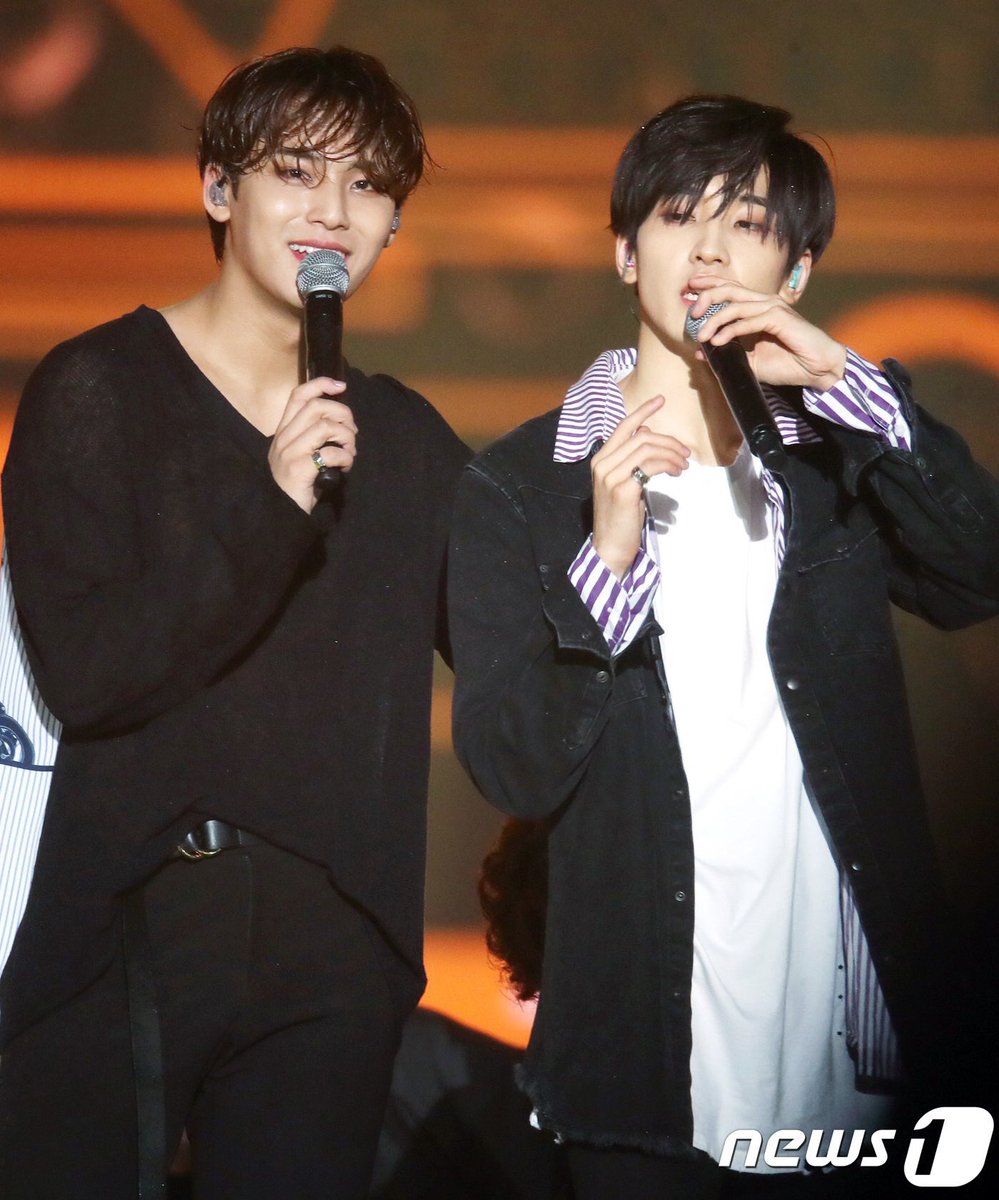 🐶🐱ミーニー 20180512 SEVENTEEN MEANIE MINGYU WONWOO DREAM CONCERT