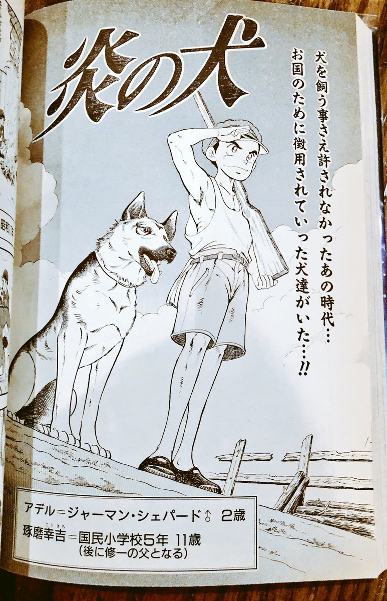 手ぬぐい 高橋よしひろ 手ぬぐい 高橋よしひろ Amazon.co.jp: 高橋