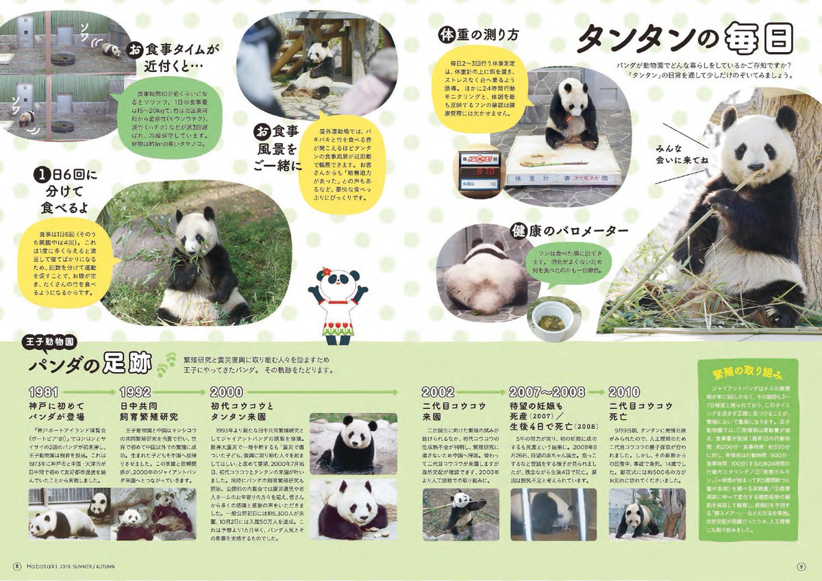 王子動物園のフリーマガジン「はばたき」の最新号ができました。特集は