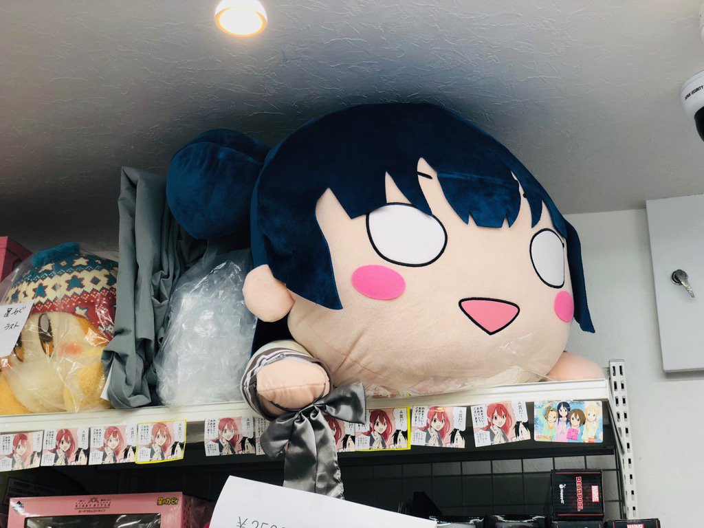 三人目のテラジャンボ来ました 既にこの大きさ、重さにも慣れました