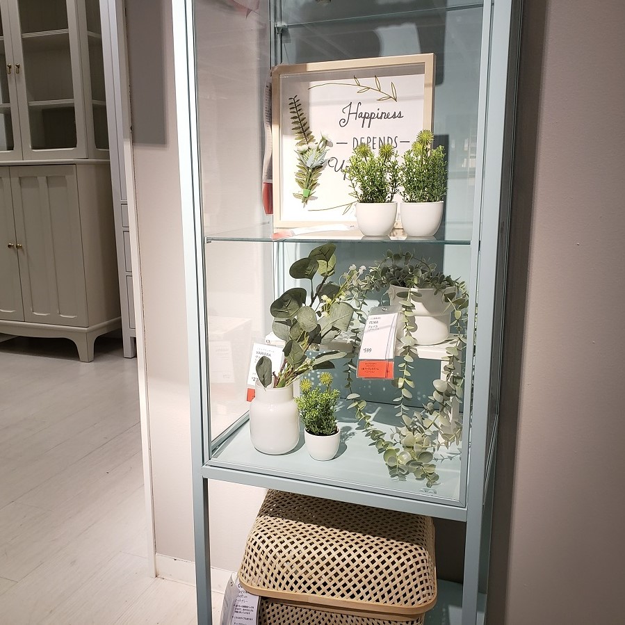 RUDSTA/ルードスタ コレクションケースは、 棚の上に物を並べるだけで