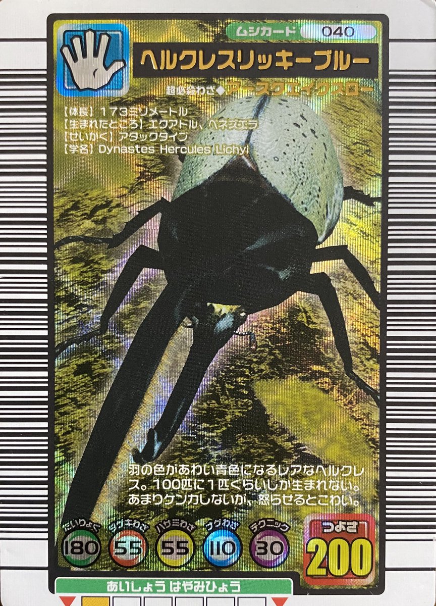 ヘルクレスオオカブトは全ての亜種においてブルー個体が出現します