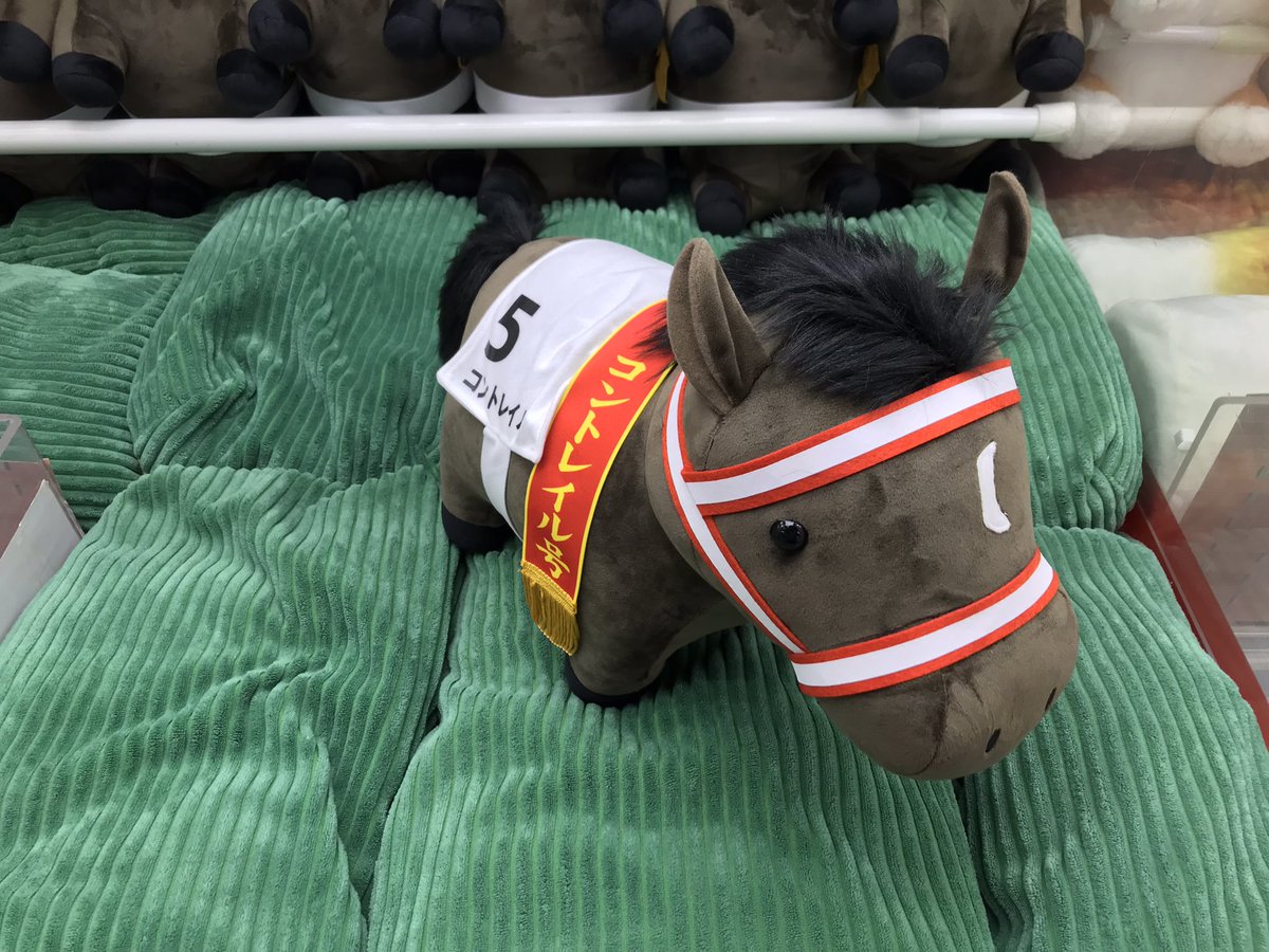 🆕『サラブレッドコレクションBIGぬいぐるみ コントレイル』🆕が入荷