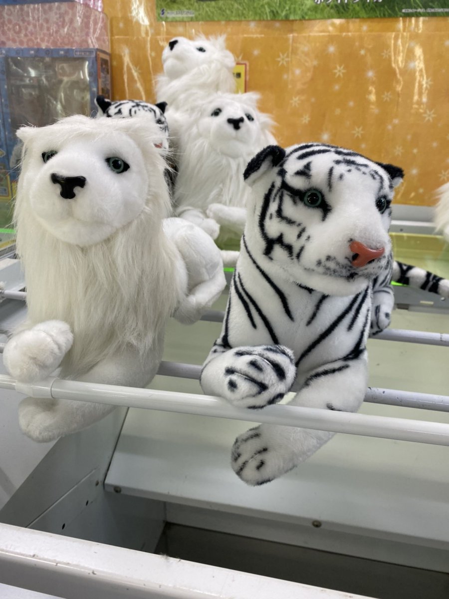 E3fB0fnVkAQa7t3.jpg?format=jpg