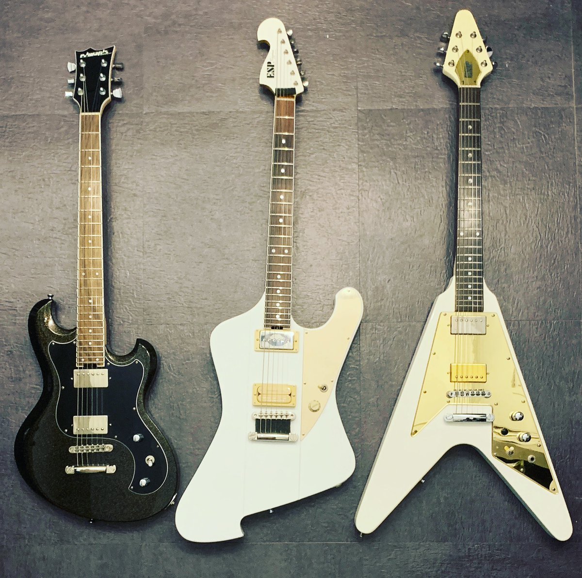 Leda使用機型 #ESP #edwards #Cygnus #Ultratone #V #ESP世界第一