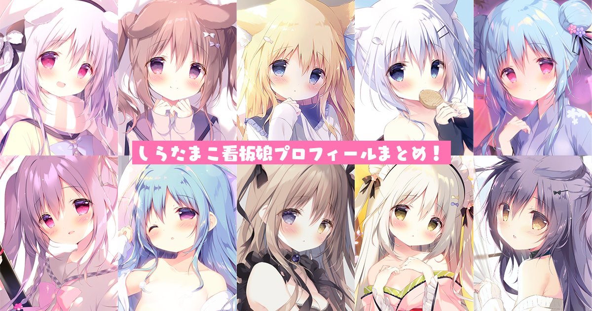 しらたま しらたまこ FANBOX継続特典第4弾 直筆サイン色紙 しらたまこ