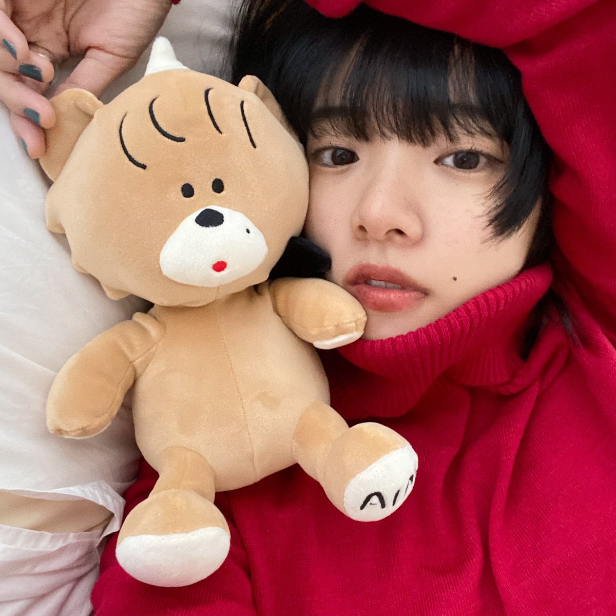 あくま🧸はAIM会員限定。 あいみょん念願のぬいぐるみです。 あくま