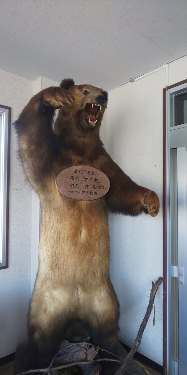 登別駅の熊の剥製数年ぶりに見たけどやっぱりでかいな。