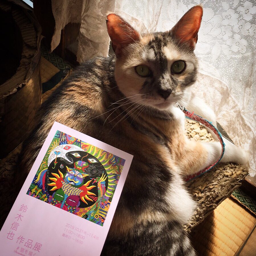 猫六堂＊鈴木信也 (@nekorokudou) / Posts / X