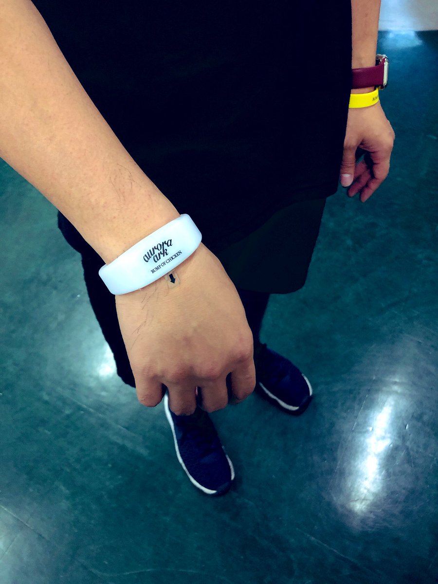 今ツアーでは入場時に会場入口でLEDリストバンドPIXMOBをおひとり様1つ