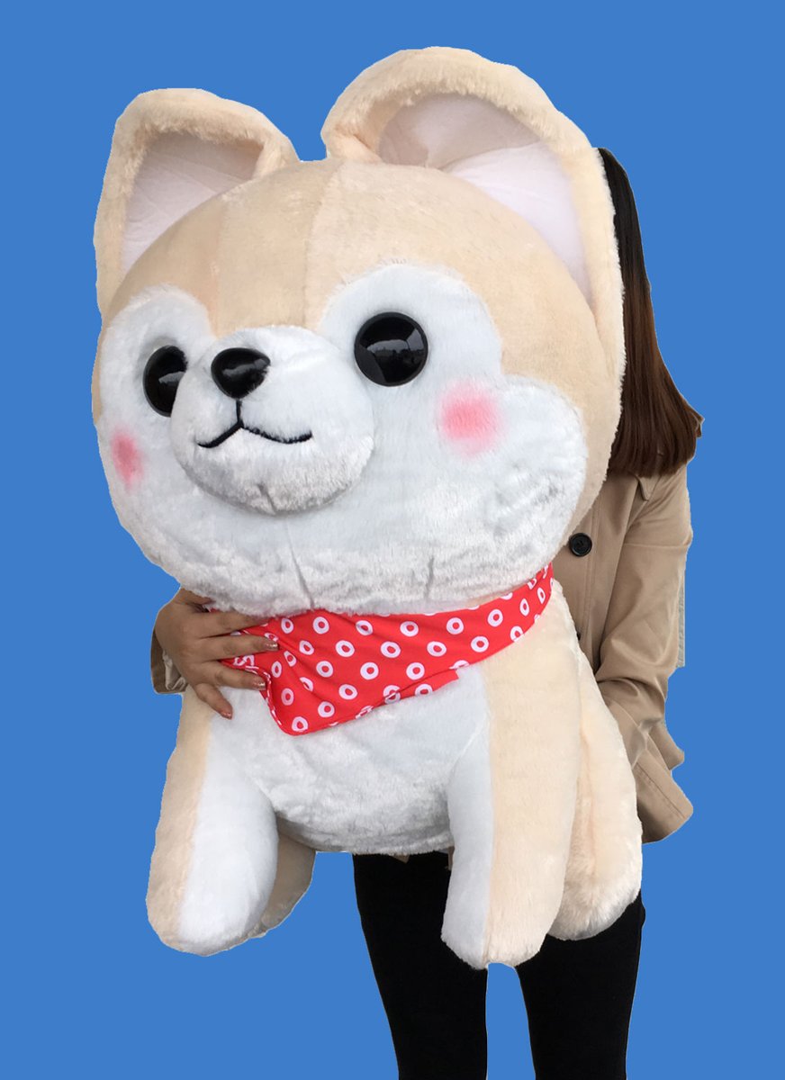 ででででで～ん！！！！ 【数量限定！豆しば三兄弟 さすけスーパー