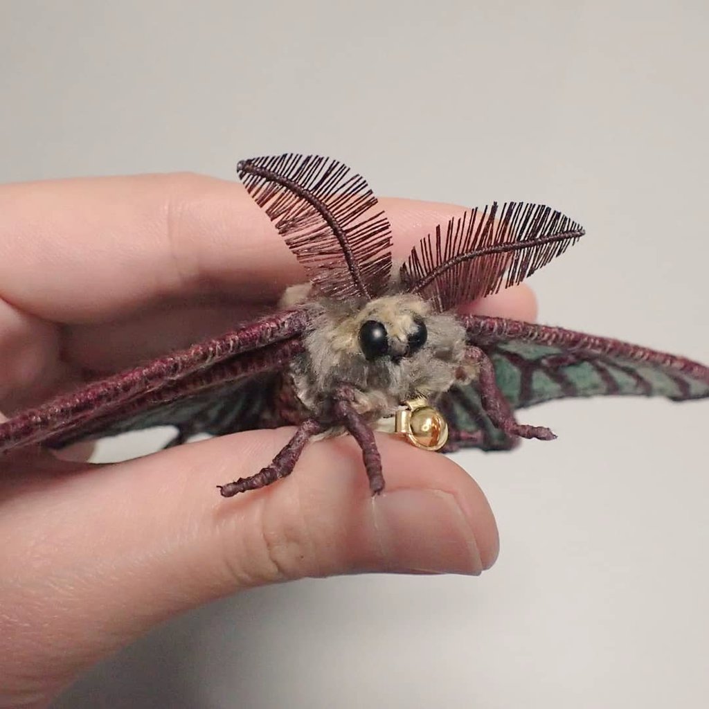 イザベラミズアオ氏出来ました(^^)/ピレネー山脈に主に生息されている