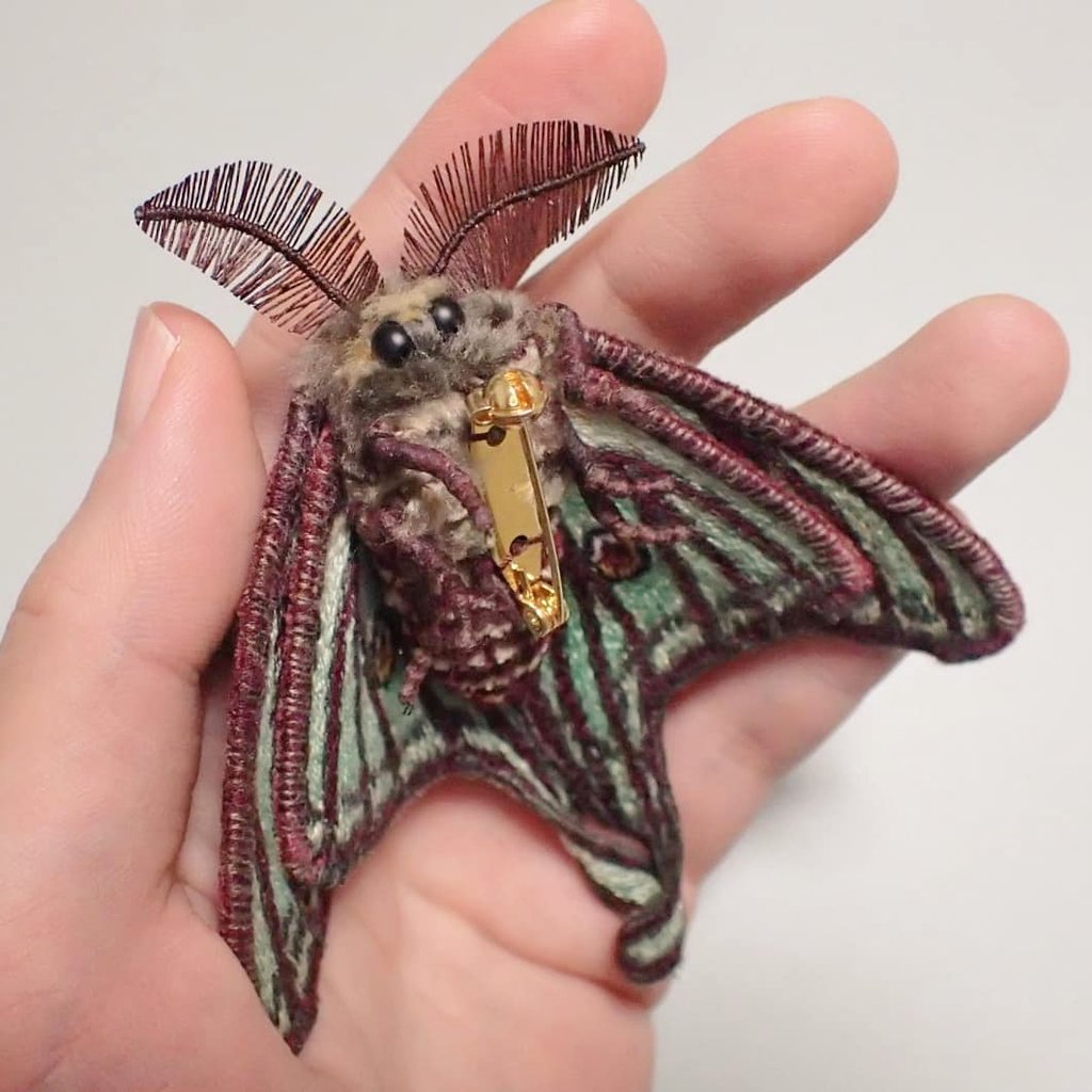 イザベラミズアオ氏出来ました(^^)/ピレネー山脈に主に生息されている