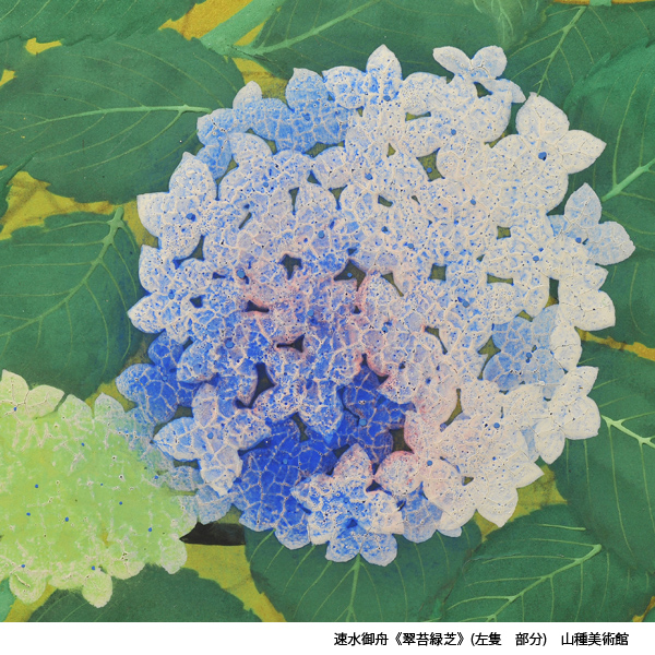 梅雨の季節を彩る花といえば紫陽花。#速水御舟は《翠苔緑芝》(#山種