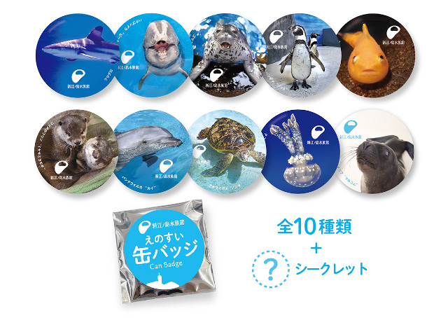 えのすい”人気の生きもの缶バッジが、あす6月26日(金)より1階の