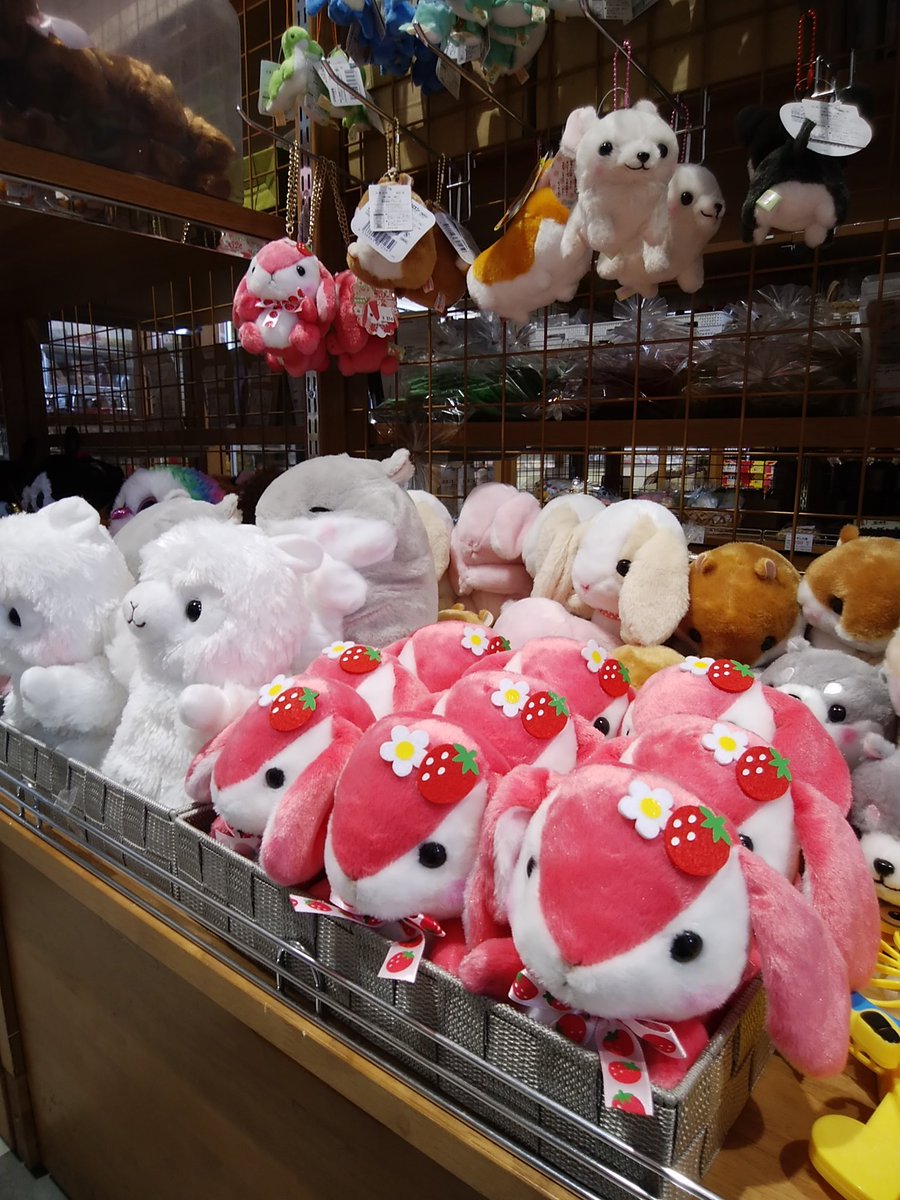 ぽてうさろっぴー栃木限定スカイベリー、再入荷いたしました！ また