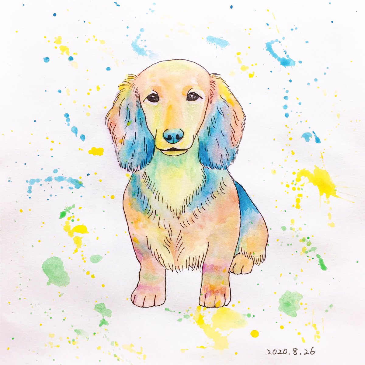 犬絵 63 #ミニチュアダックスフンド #透明水彩 #透明水彩画 #犬