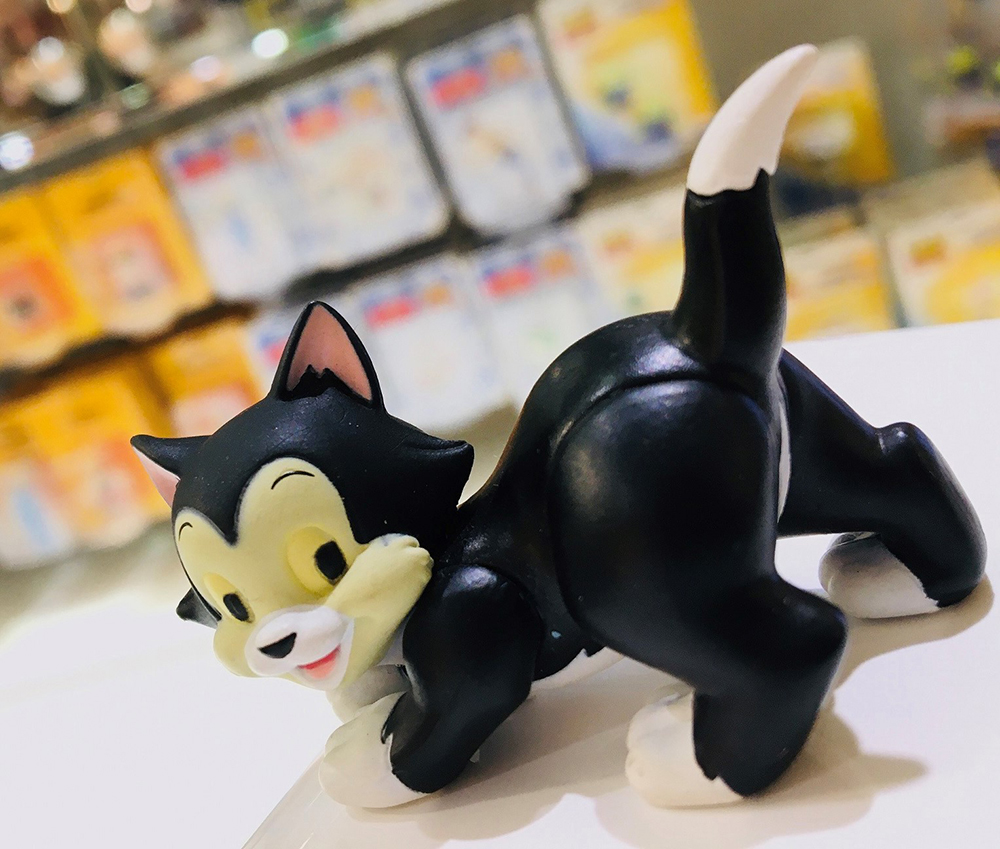 Today's SOLAMACHI】 映画『ピノキオ』で“ゼペット”の飼い猫として登場