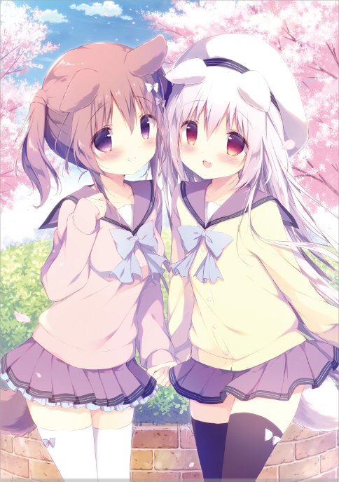 本日12/2はしらたまこ看板犬「しろいいぬ」のお誕生日です🍰🌸お祝いし