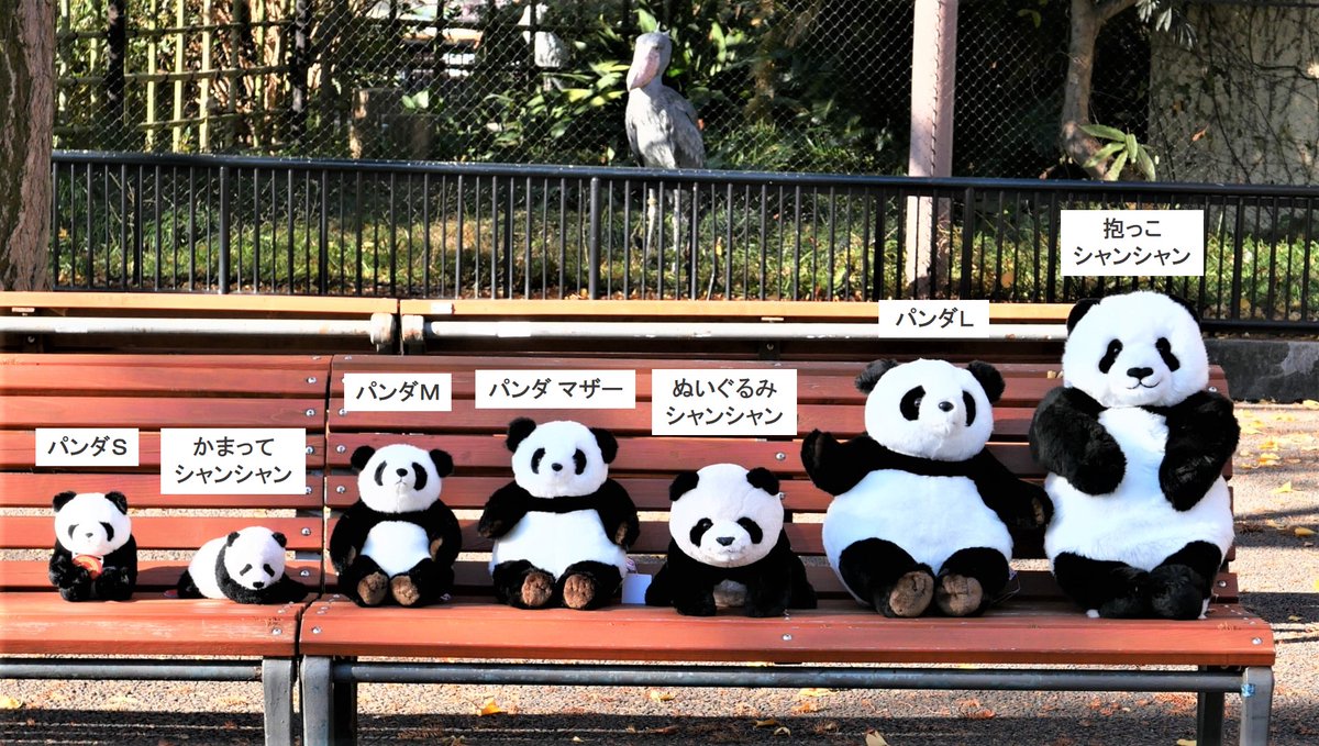 よくわかる!? （主な）ジャイアントパンダぬいぐるみ 比較🐼 大きさも
