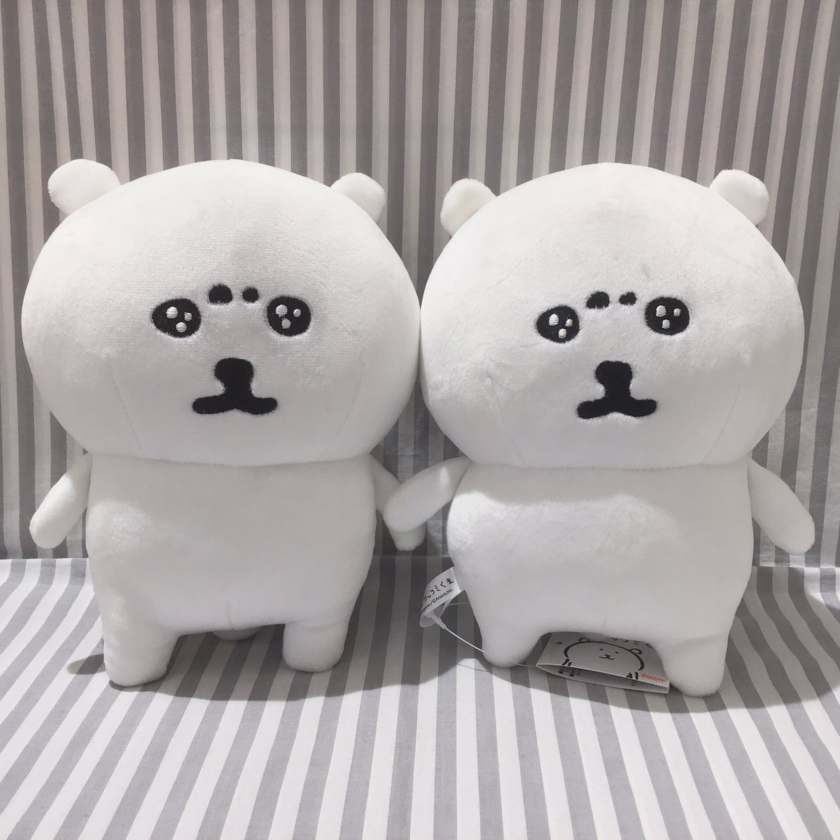 🥺自分ツッコミくま 新作情報🥺 ナガノさん 自分ツッコミくま