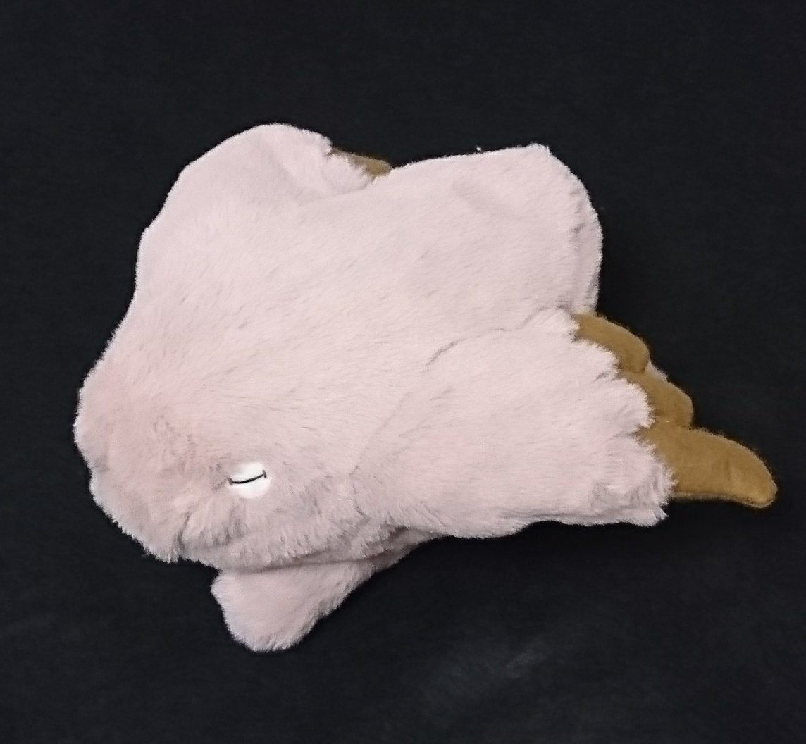 メイニャのぬいぐるみ完成いたしました！ 何だ…この可愛い生き物は