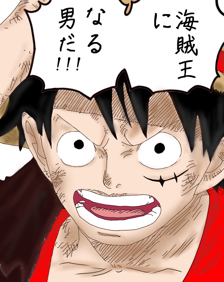 おれはモンキー・D・ルフィお前らを超えて・・・・・・”海賊王”になる