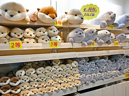 はずれクジ無しの“えのすい”ぬいぐるみクジ🎯 🔸クラゲ 🔸カメロンパン