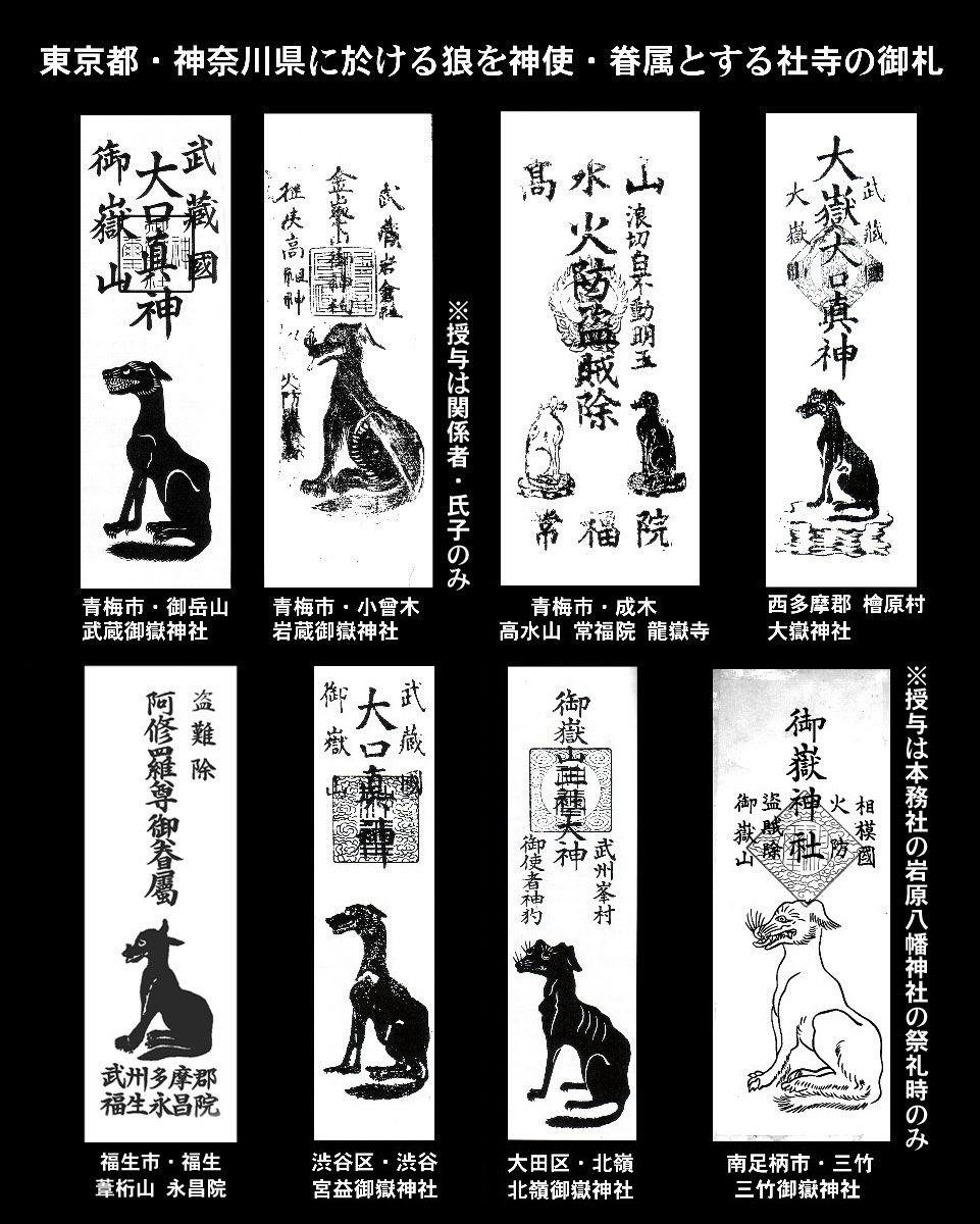 番組内で紹介された武蔵御嶽神社さんや三峯神社さんは狼（尊称：大口