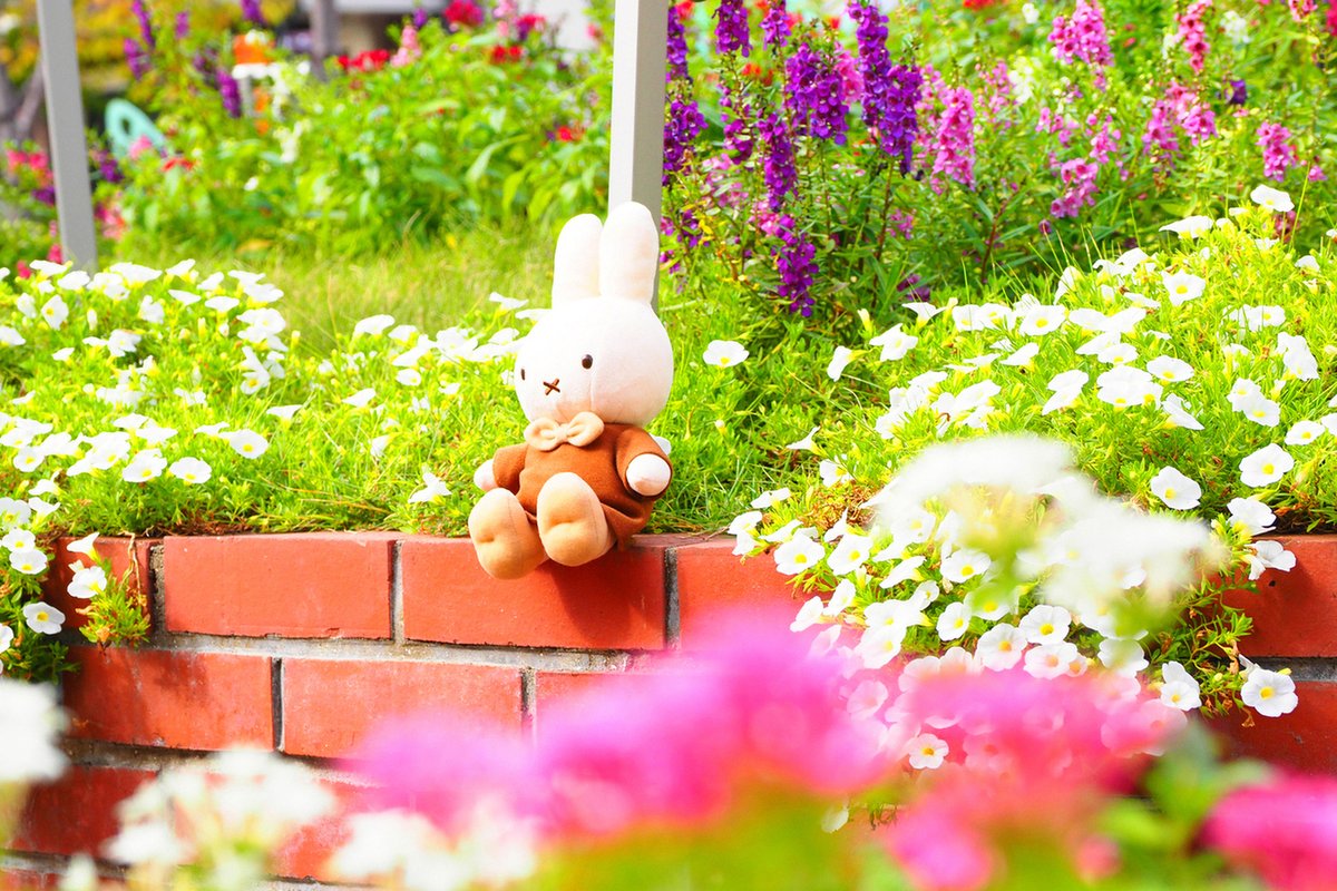 本日10/6（金）より販売開始！🐰 ＼ 大人気の手足が動くポーズ