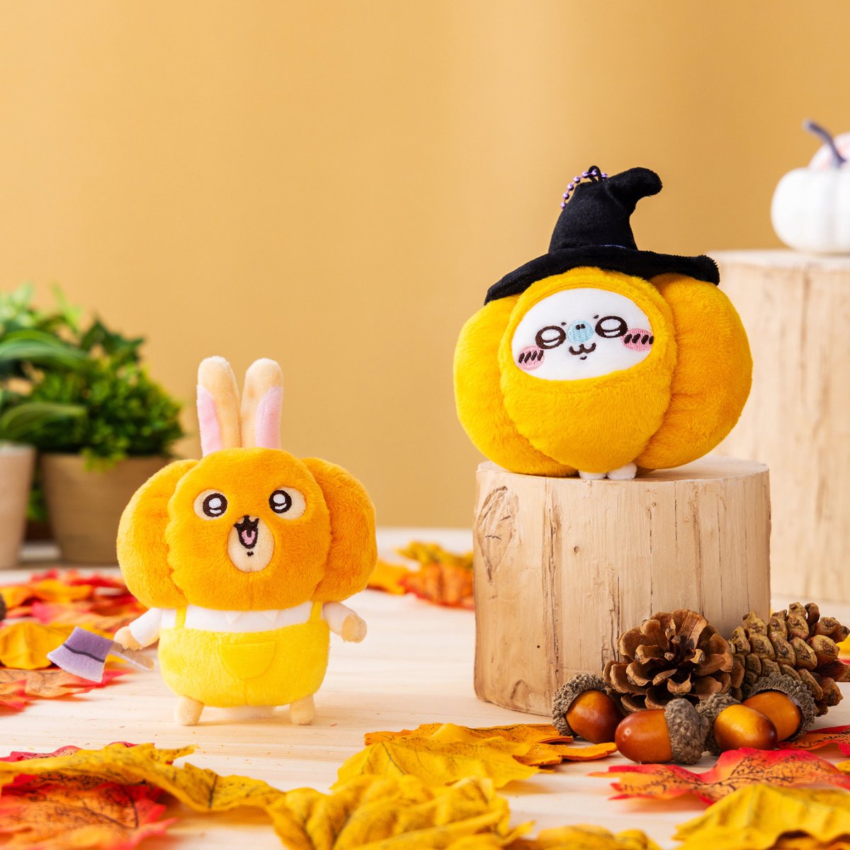 🍜再入荷のお知らせ🍜 下記商品たちを 「10/20(金)11時」より 再入荷